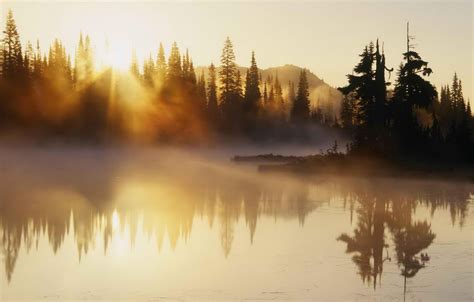 Wallpaper River Trees Morning Fog Sunrise Images For Desktop