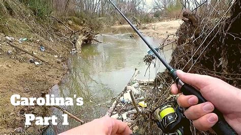 Are there moose in north carolina. Are THERE FISH in this TRASHY CREEK? (North Carolina ...
