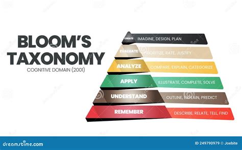 Blooms Taxonomy Educational Pyramid Diagram Cartoon Vector