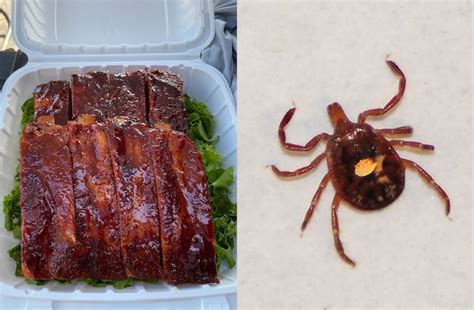 Lone Star Tick That Makes People Allergic To Red Meat Is In Dc The