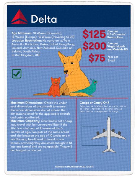 The Best Airlines For Pet Travel The Points Guy