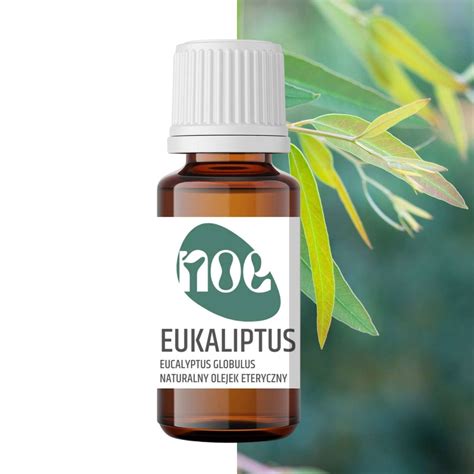 Naturalny Olejek Eteryczny Eukaliptusowy 10 Ml Noe Sklep Empikcom