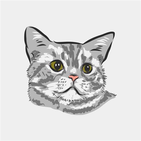 Domestic Cat Realistic Vector Sketch Illustration The Sign Of The Cat
