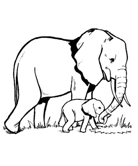 Seluruh gif gambar animasi mewarnai gajah dan animasi bergerak mewarnai gajah dalam kategori ini 100% gratis dan tanpa dikenakan biaya untuk menggunakannya. Mewarnai Gambar Gajah - Kreasi Warna