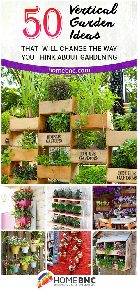 The 50 Best Vertical Garden Ideas And Designs For 2022