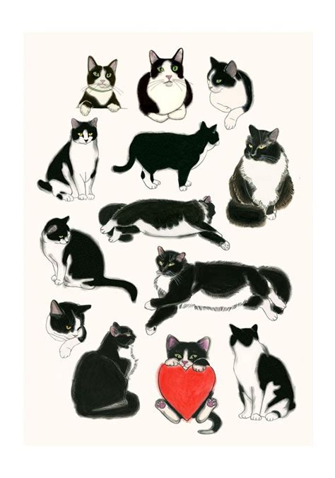 Hand drawn cat free vector. I Heart Tuxedo Cats! | Kitten drawing, Tuxedo cat art, Cat art