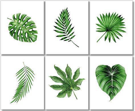 Botanical Prints Wall Art Tropical Leaves Decor Set Of 6