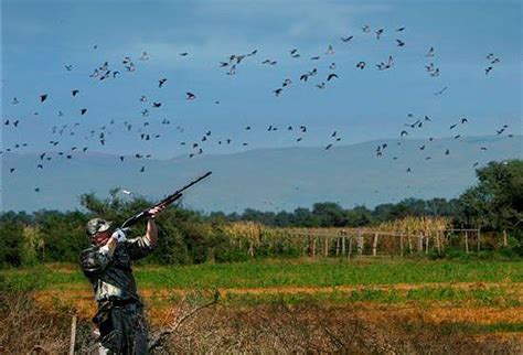 Duck Hunting Bird Hunting Dove Hunting Upland Hunting