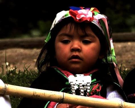Pin En Mapuche Chile
