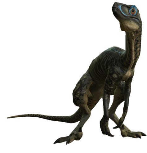Troodon Dinosaur Images Ancient Animals Dinosaur Art