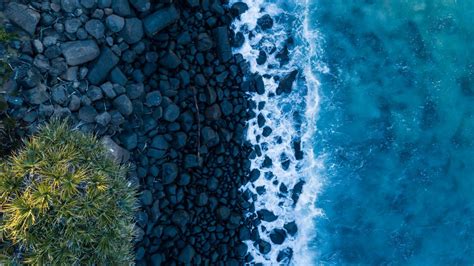 Aerial View Of Ocean Rocks Palm Tree Waves Stones Hd Ocean Wallpapers