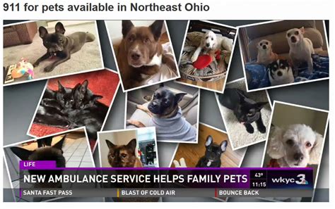 Squad Fiftyone Pet Emergency Response Sq51 News