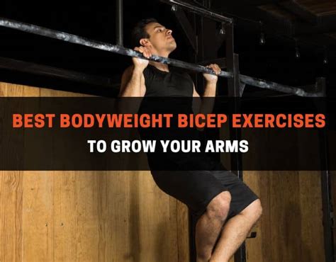 10 Best Bodyweight Bicep Exercises To Grow Your Arms