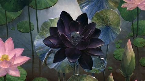 A black lotus game card for magic: Here's a quick documentary explaining Magic's legendary Black Lotus card - htxt.africa