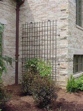 Ivy and trumpet vines are my favorite, but any. large scale decorative iron trellis for a house wall ...