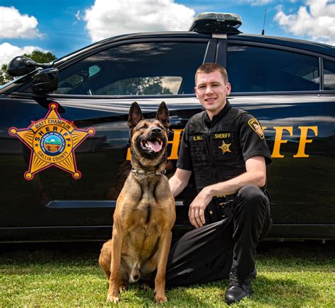 Gallia County welcomes new K-9 with coloring contest | WOWK 13 News