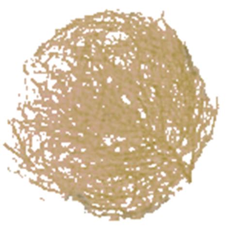 Niveaumeldingen I - Politics.be Here you can explore hq tumbleweed transparent illustrations, icons and clipart with filter setting like size, type, color etc.