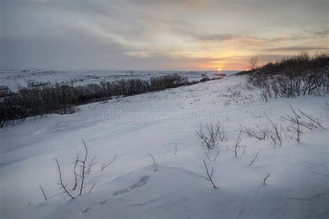 Sunrise Over Snow Covered Fields Of North Dakota Usa Stock Photo