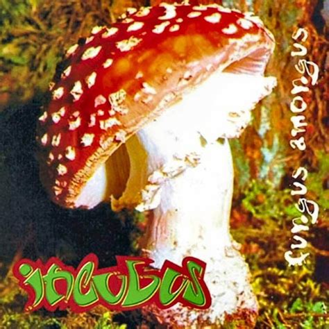 Incubus The Fungus Amongus Lyrics And Tracklist Genius