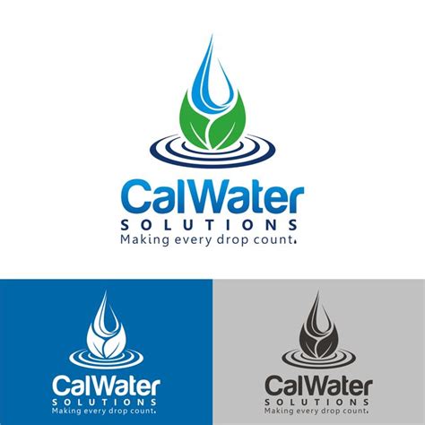 Design A Complete Branding Package For The Water Conservation Industry