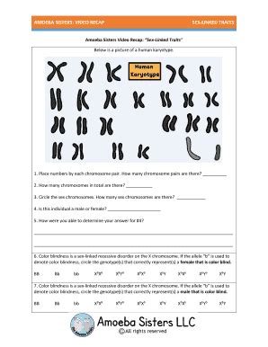Draw a chromosome before interphase has occurred. Fillable Online amoeba sisters sex linked traits worksheet ...