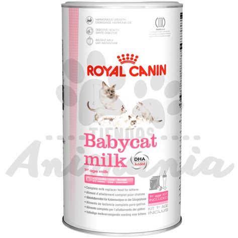 Royal Canin Gato Baby Cat Milk 300 Gr Animania