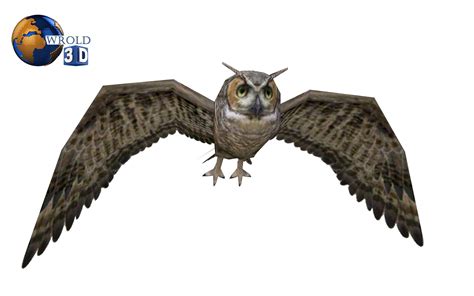 3d Model Owl Rigged Animated Lowpoly 3d Model Vr Ar Low Poly Rigged