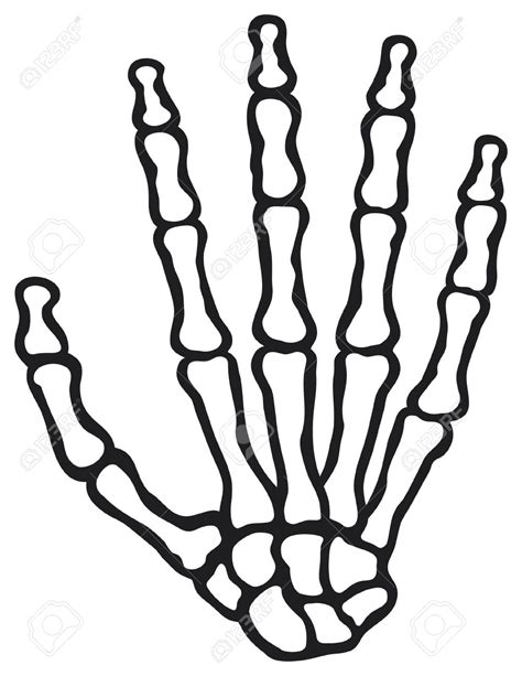 Skeleton Hands Drawing At Free For Personal Use