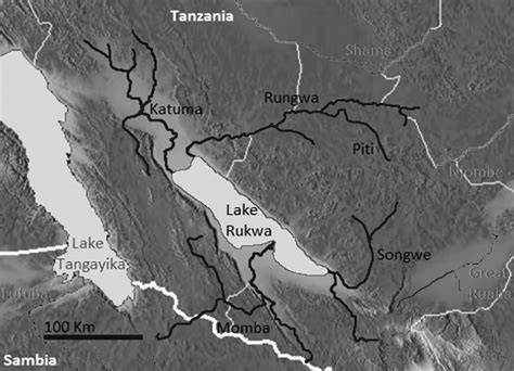 Lake Rukwa Hydrology Wildlife Climate And More