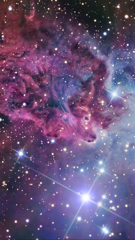 Fox Fur Nebula In Monoceros Constellation In The Ngc 2264 Region