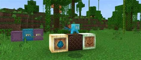 Is The Allay In Minecraft Bedrock Edition Answered Touch Tap Play