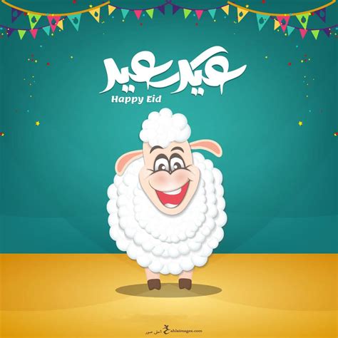 متي يقال عيد الاضحي مبارك