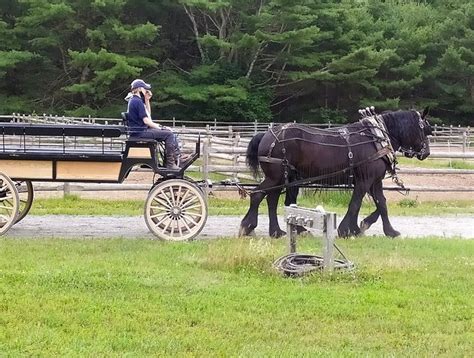Acadia National Park Carriage Rides A Unique Maine Experience