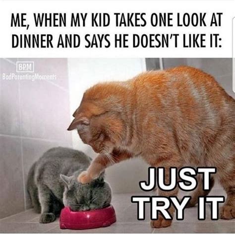 Funny Parenting Memes That Any Parent Will Relate To