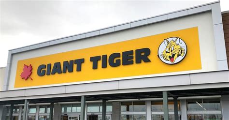 Enter the giant tiger canada day contest, for your chance to win a $500.00 giant tiger gift card! WIN a $100 Giant Tiger Gift Card • Canadian Savers