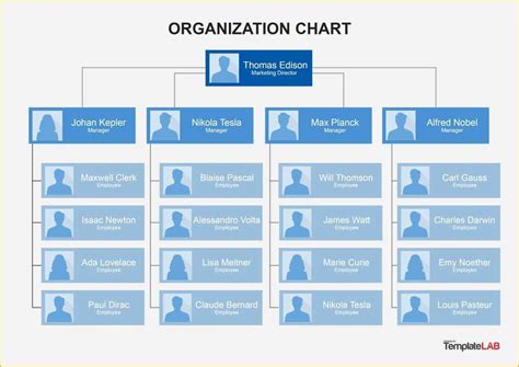 Free Organizational Chart Template Of Organizational Chart Templates