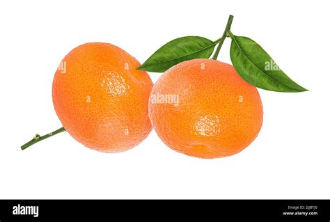 Mandarin Tangerine Citrus Fruit With Leaf Isolated On White Background
