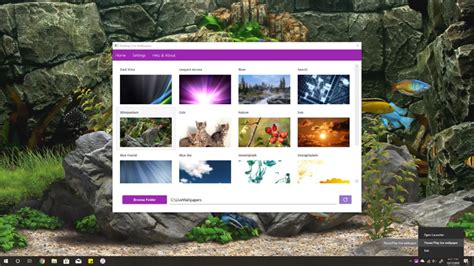 Get Desktop Live Wallpapers From The Microsoft Store Artofit