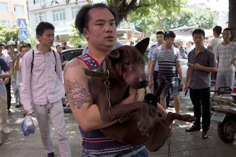 Chinese City Goes Ahead With Annual Dog Meat Eating Festival Despite