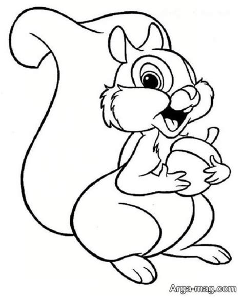 نقاشی سنجاب کارتونی کامل مولیزی