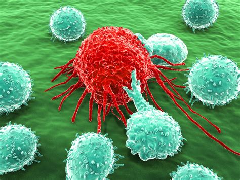 Cancer Immunotherapy: a Colorful Past and a Bright Future - ScienCell ...