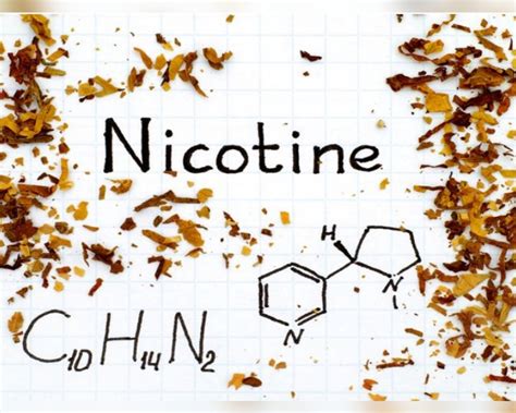 Tiga Fakta Soal Nikotin Yang Perlu Anda Ketahui Finroll My XXX