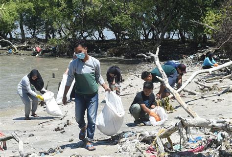 Normalisasi Sungai Di Surabaya Korbankan Mangrove Wonorejo Kompasid