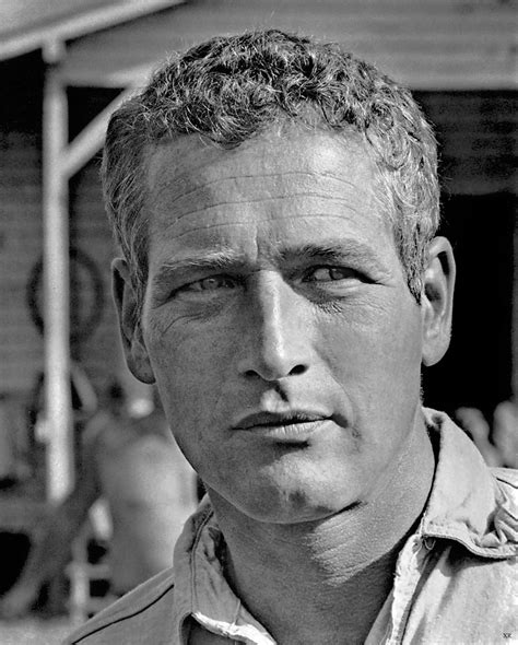 1967 Paul Newman Cool Hand Luke A Photo On Flickriver