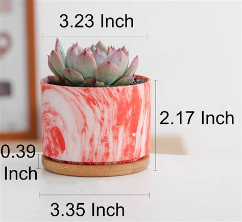 Marbling Style Succulent Plant Pots With Bamboo Tray 3 Inch Etsy
