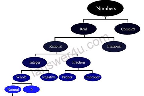 Numbers And Their Types In Mathematics ~ I Answer 4 U