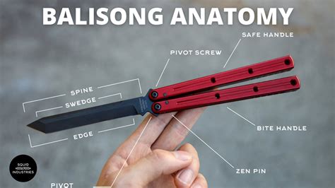 Balisongbutterfly Knife Anatomy Squid Industries