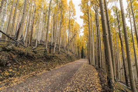 Hiking Inner Basin Via Lockett Meadow For Arizonas Best Fall Colors
