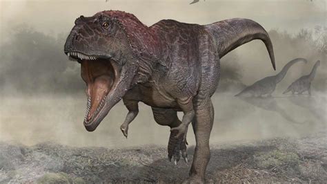 Tiny Arms Might Be Useful For T Rex Sex