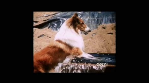 Lassie Episode 508 Lassie And The Water Bottle Season 16 Ep 5 10261969 Youtube